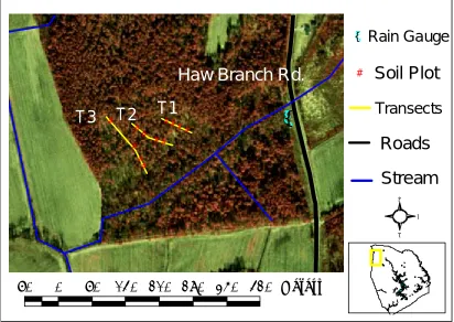 Figure 3.3 Layout of the Richlands site showing relative plot locations and their                            relationships between certain features such as roads, streams, and the rain gauge