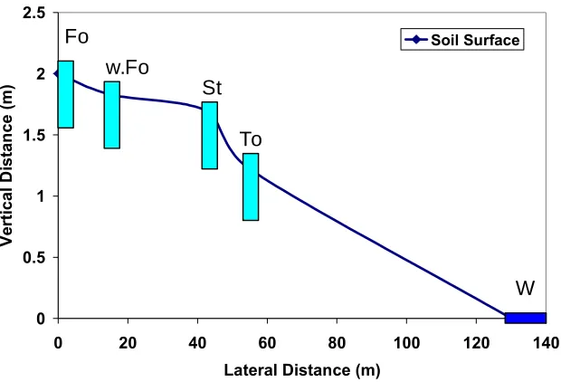 Fig 3.4 Relative elevation of the Foreston (Fo), wet Foreston (w.Fo.), Stallings (St), and Torhunta (To) soil plots along a transect 1 of the Richlands site