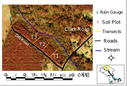 Figure 3.5 Layout of Vanceboro site showing plot locations along transects (i.e. T1) and their 