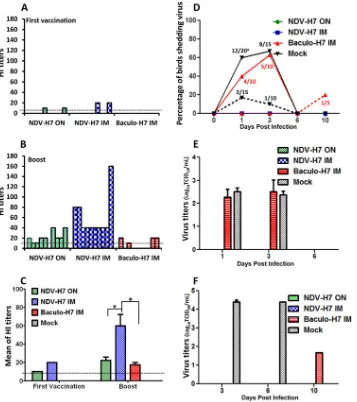 FIG 2 Hemagglutination inhibition antibody titers of chickens vaccinated with different H7 vaccines and virus shedding after challenge