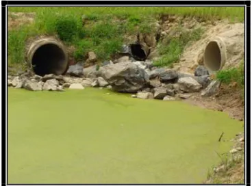 Figure 12. Forebay inlet at Gaston Day School wetland 