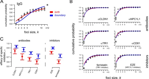 TABLE 3 Effect of blocking host factors on HCV focus expansiona