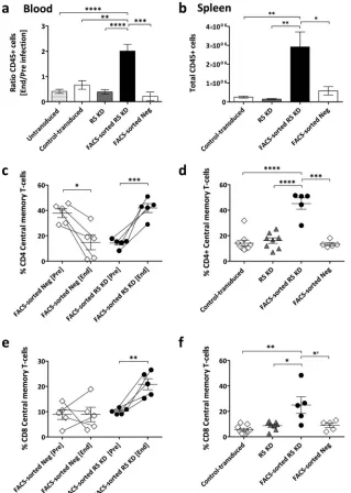 FIG 5 Increased engraftment and central memory T cells in blood and spleens of FACS-sorted R5 knockdown mice