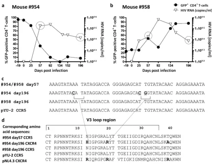 FIG 6 Population sequencing of HIV in plasma: evidence for gene therapy failure. (a and b) Plots showing the percent GFP-positive CD4on day 19 to more than 80% on day 196