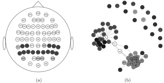 Figure 2.6: (a) An EEG cap based on the fitted model using (λ 1 , λ 2 ) = (0.15, 5.66)
