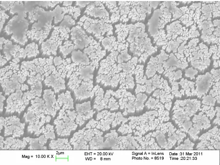Figure 2.5. SEM image of the electrodeposition of Ni in nanoporous alumina and 