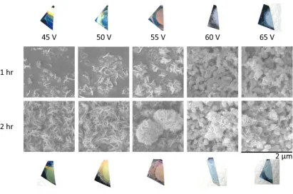Figure 3.1. Photographs and SEM images of tungsten foils anodized in 1 M H2SO4 and 