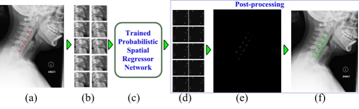 Figure 2: Framework block diagram: (a) Input image with manually clicked vertebrae cen-ters (b) Image patches (c) Proposed network (d) Patch level predictions (e) Image level pre-diction (f) Localized corners.