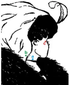 Figure 3. The bistable image “My girlfriend or my mother-in-low” and three different fixation points: the green one, the point that is influence on the old-woman percept