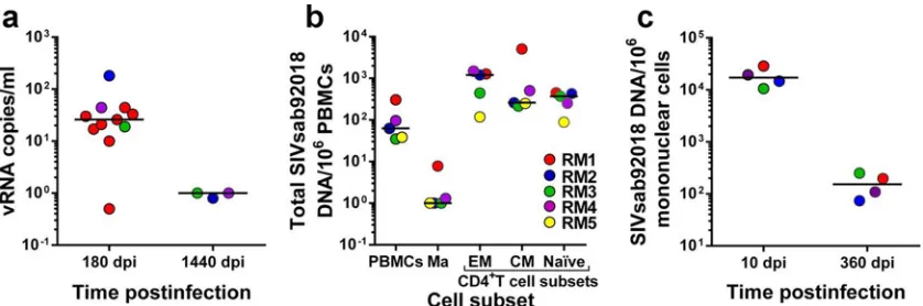 FIG 1 Virological characterization of the reservoir in SIVsab-infected RM controllers