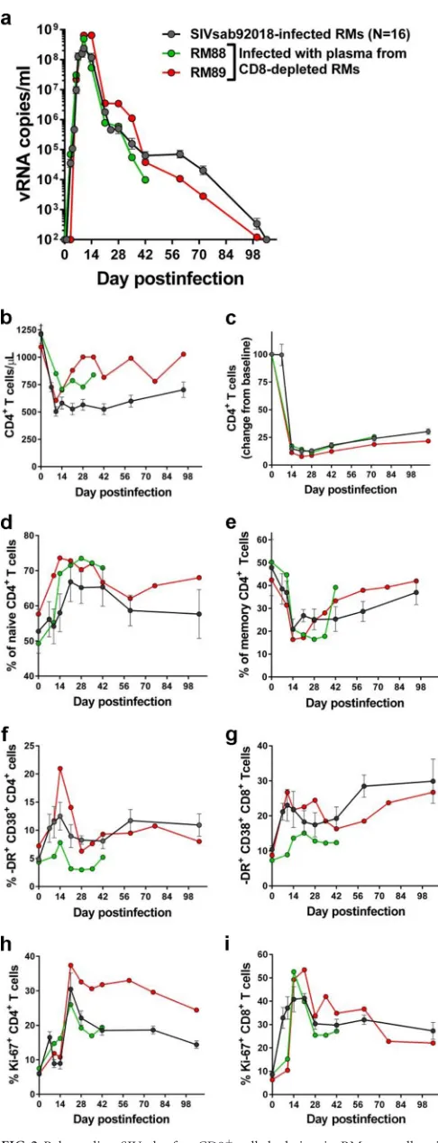FIG 2 Rebounding SIVsab after CD8replication competent. Serial passage to naive RMs of pooled plasma collectedfrom CD8� cell depletion in RM controllers is� cell-depleted RMs resulted in a productive infection which was