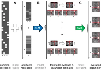 Figure 1. Model averaging for general linear models in fMRI data analysis. This ﬁguresummarizes our approach of cross-validated Bayesian model averaging (cvBMA)