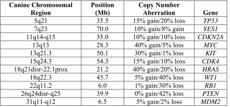 Table 4: Summary of highly recurrent genomic aberrations (≥30%) in 38 patients of canine OS indentified by low-resolution (10-20Mb) aCGH