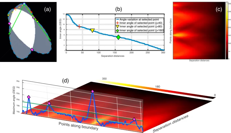 Figure 7. Junction detection on overlapping objects through the maximum intensity projection of the(magenta)