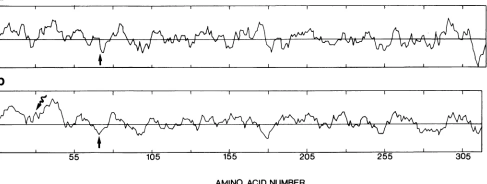 FIG. 3.distancepotentialwasDoolittleprogram Hydrophobic and hydrophilic regions of the SAl neutralization antigen