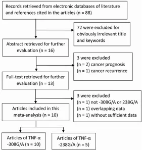 Figure 1. Flow diagram of the study selection process. 