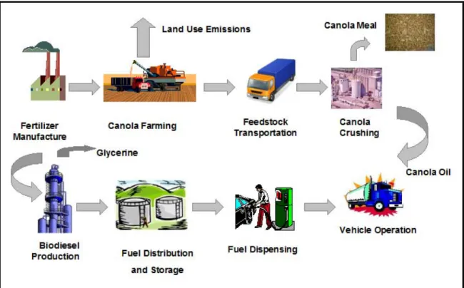 Figure 1-3  Lifecycle Stages – Canola Biodiesel 