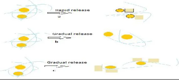 Figure 3: Schematic demonstration of different ways of dissolution in different solid dispersion systems[Adapted from (15)]