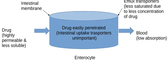 Figure 1: Schematic representation for BCS class 2 drug’s absorption mechanism