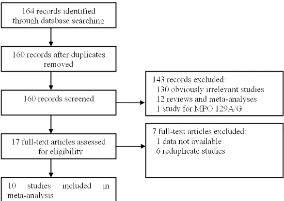 Figure 1. Flow diagram of the literature search.