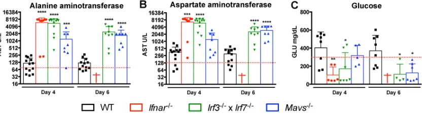 FIG 3 Blood chemistry reveals extensive liver injury after OROV infection. Alanine aminotransferase (ALT) (A), aspartate aminotransferase (AST) (B), and�/��/��/� �/� 