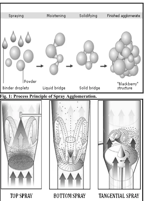 Fig. 1: Process Principle of Spray Agglomeration.
