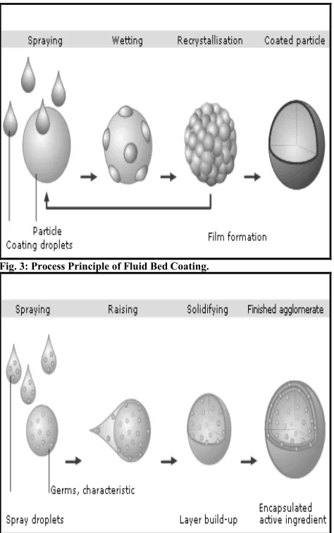 Fig. 3: Process Principle of Fluid Bed Coating.