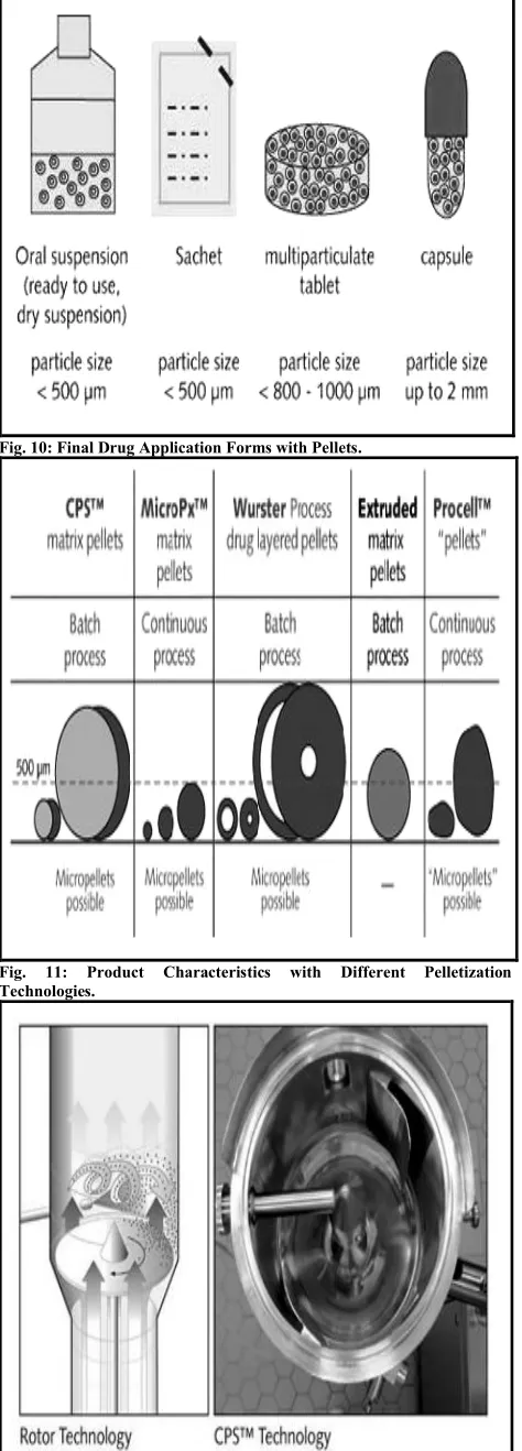 Fig. 10: Final Drug Application Forms with Pellets.