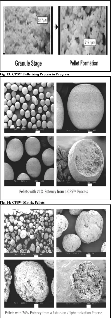 Fig. 13: CPS™ Pelletizing Process in Progress.