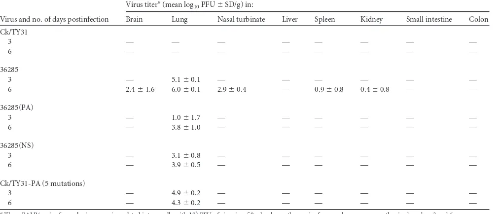 TABLE 4 Replicative properties of Ck/TY31, 36285, reassortants, and PA mutants in mice