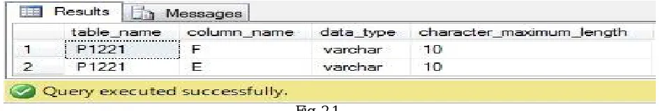 Fig. 2.1 The output of “sp_help” equivalent SQL command for a particular table having 2 columns- F, E 