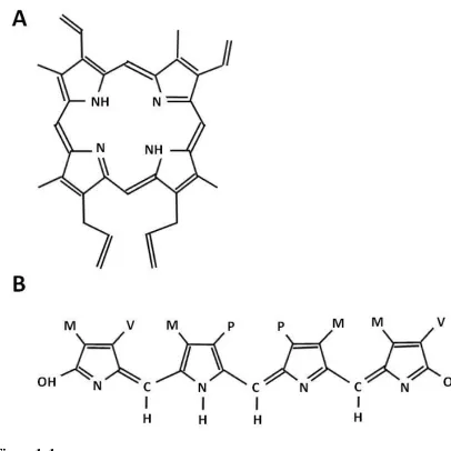 Figure 1. 1 
