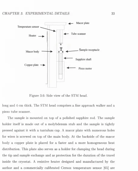 Figure 3.6: Side view of the STM head.