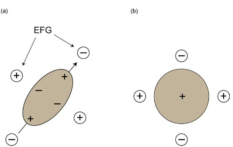 Figure 1.6.  (a) Schematic representation of the asymmetric charge distribution for a quadrupolar nucleus and the associated preferential orientation, or interaction, with an electric field gradient