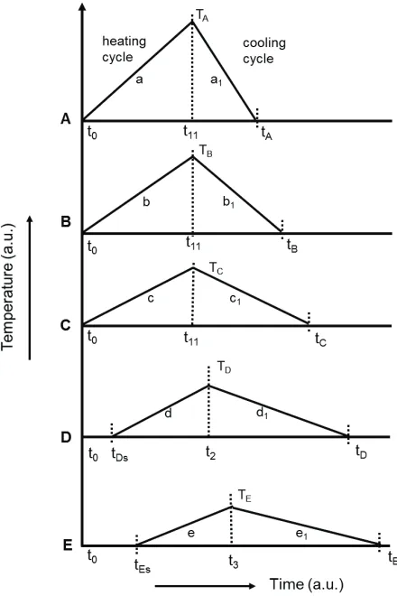 FIGURE 2.  The transient heating and cooling cycle during the thermal process. 