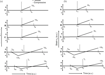 FIGURE 4. The schematic of (a) Stress-Time and (b) Strain-Time diagram of Laser Cladding process