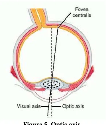 Figure 5. Optic axis. 