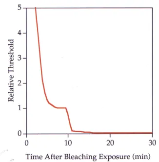 Figure 9.   Dark adaptation recovery [17]. 