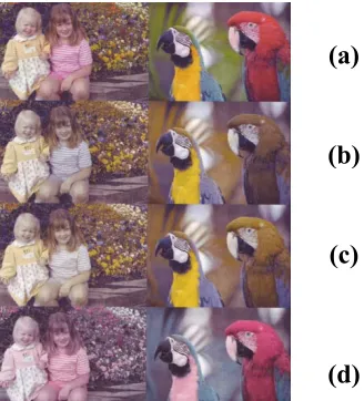 Figure 10 . (a) Normal vision (b) protanope (c) deuteranope (d) tritanope [17]. 