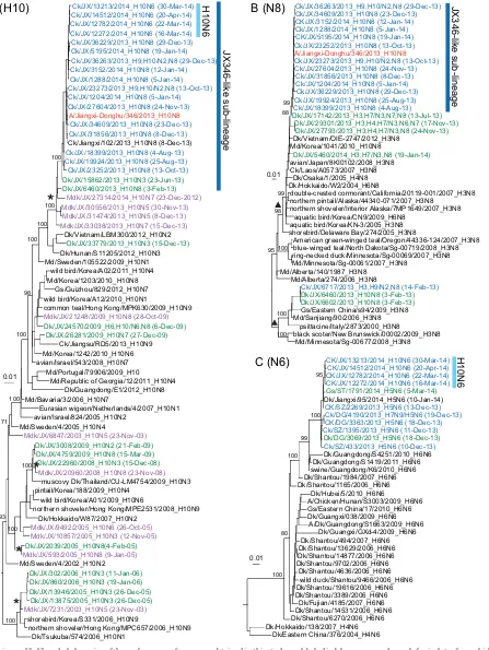 FIG 2 Maximum likelihood phylogenies of the surface genes. Sequences obtained in this study are labeled in blue, green, and purple for isolates from chickens,(domestic ducks, and migratory ducks, respectively, in the phylogenetic trees of Eurasian H10 (n �