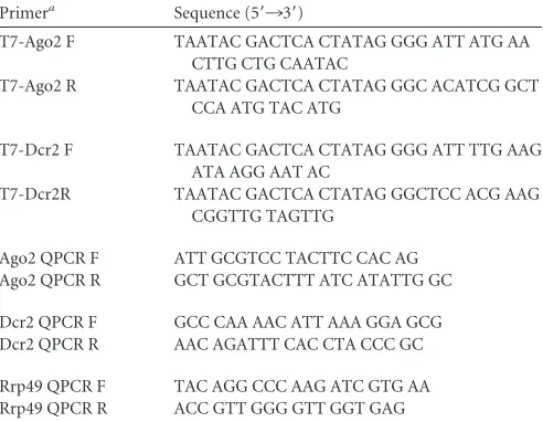 TABLE 1 List of primers used in this study