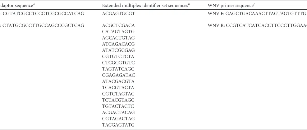 FIG 1 WNV quasispecies diversity is reduced in RNAi-depleted cells and enhanced in cells pretreated with WNV dsRNA