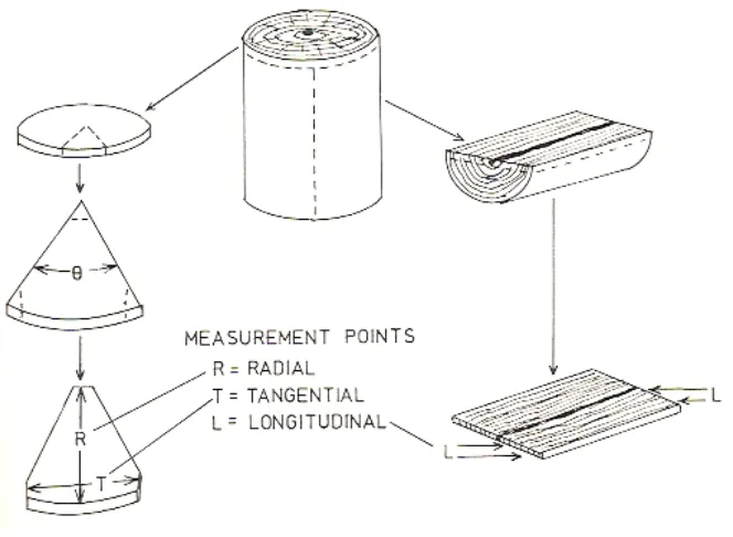 Figure 2-5 Method for obtaining pie-shaped samples for radial and tangential shrinkage and samples for longitudinal shrinkage (Wiedenbeck et al., 1990) 