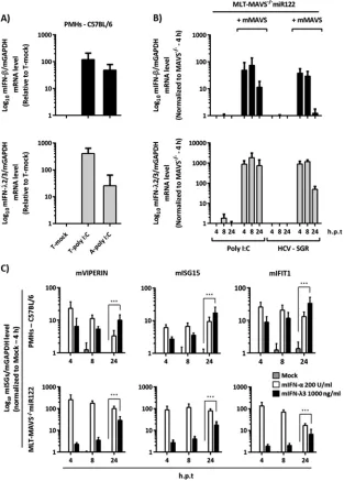 FIG 5 mMAVS-dependent induction of type I and III IFN mRNA in mouse liver cells. (A) Relative mRNA expression of mouse type I (mIFN-with 10(mIFN-was normalized to that of mGAPDH mRNA as determined by qRT-PCR