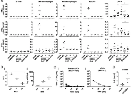 FIG 2 Inoculation of human immune cells with MERS-CoV. (A) Type I and III IFN secretion by human immune cells