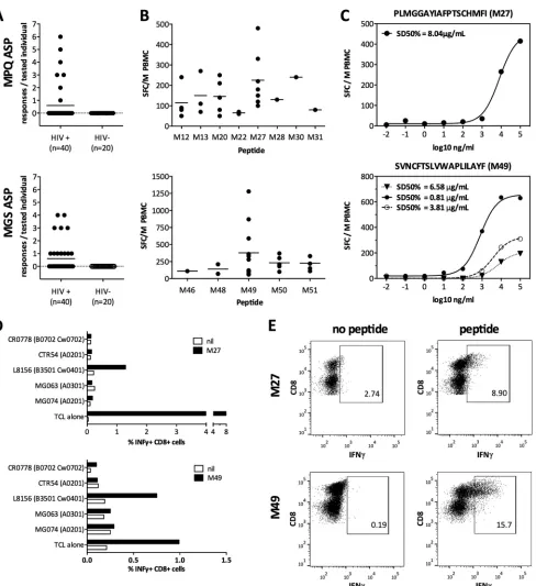 FIG 2 CTL responses to antisense proteins are common and HIV speciﬁc. Peripheral blood mononuclear cells (PBMCs) were tested in ELISpot assays forresponse (media alone)