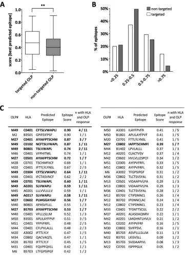 FIG 3 Epitope predictions are consistent with experimental data and support high probability of extensive CTL targeting of antisense-protein-derived epitopes.(A) The posterior probability scores of the best-predicted epitopes for each overlapping peptide (