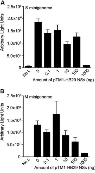 FIG 3 Effect of HB29 NSs protein on minigenome activity. BSR-T7/5 cellswere transfected with pTM1-HB29ppL, pTM1-HB29N, pTM1-FF-Luc, theindicated increasing amounts of pTM1-HB29NSs, and either pTVT7-HB29SdelNSs:hRen (A) or pTVT7-HB29M:hRen (B)