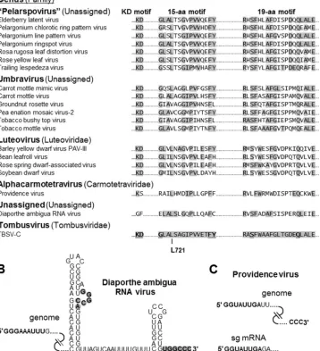 FIG 8 (A) RdRp sequence alignment of the KD, 15-aa, and 19-aa motifs in tombusvirid-like viruses