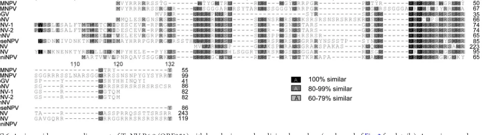 TABLE 4 Imperfect palindromic motifsa